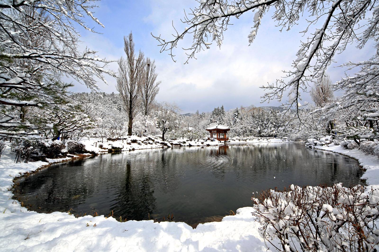 보문정의 겨울_윤기득(입선)